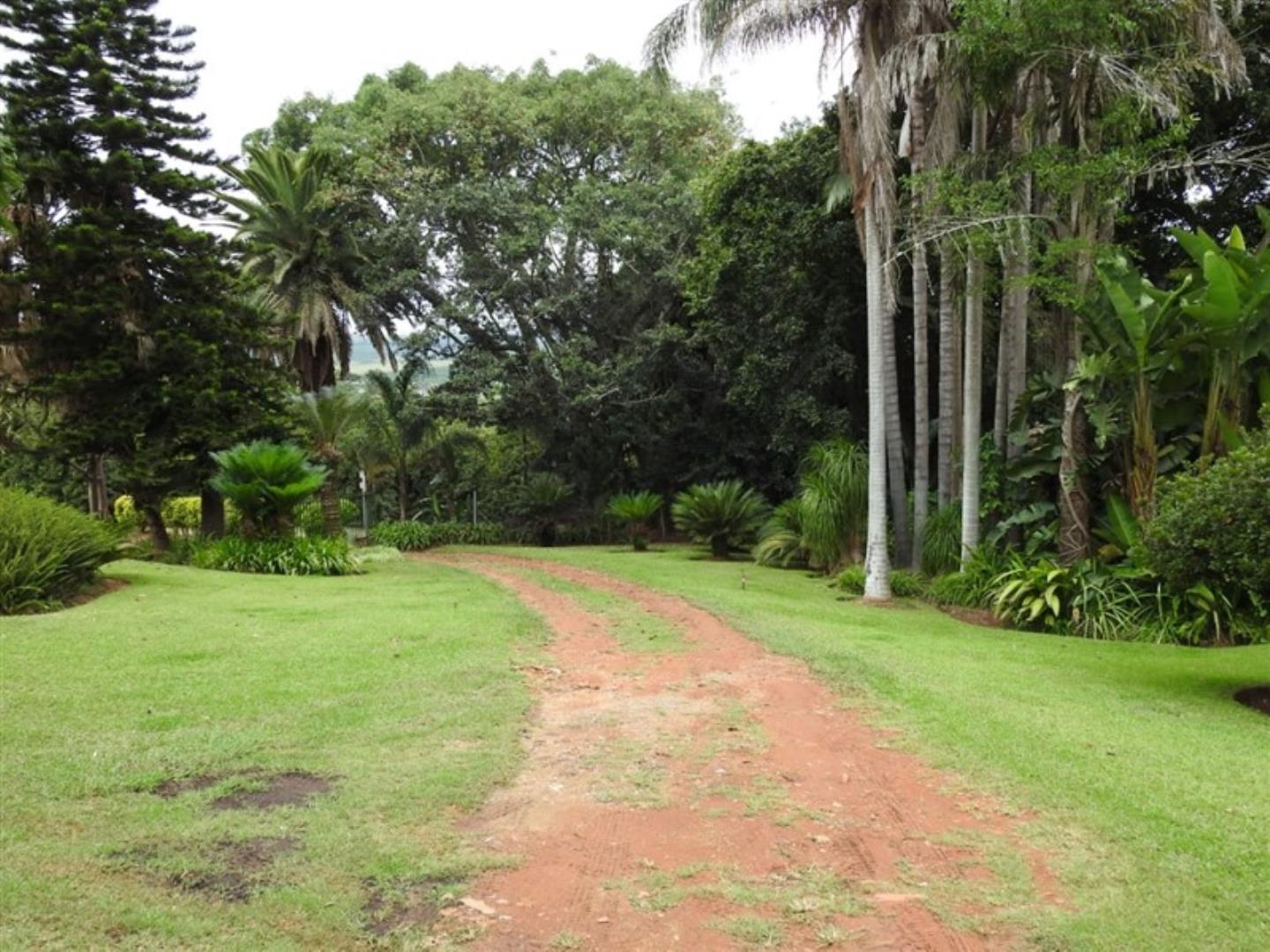 Farm for Sale in White River AH, White River 566898